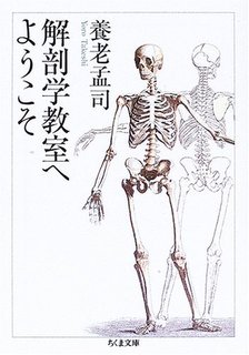 kaibo.jpg